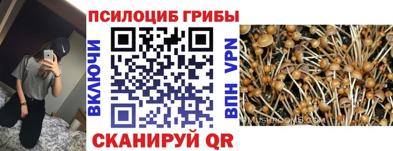 Галлюциногенные грибы Cubensis  Купить закладки  Бирск 